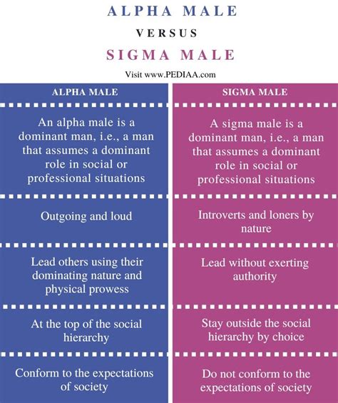 What's the difference between alpha.